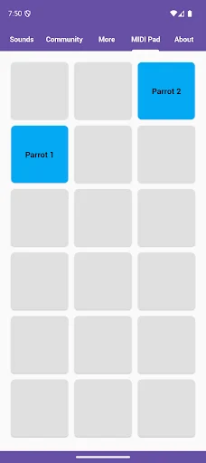 Parrot Sounds ডাউনলোড করুন – সেরা তোতাপাখির আওয়াজ অ্যাপ - Screenshot 5