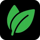 Genealogy Assistant ডাউনলোড করুন – বংশতালিকা গবেষণার সেরা টুল